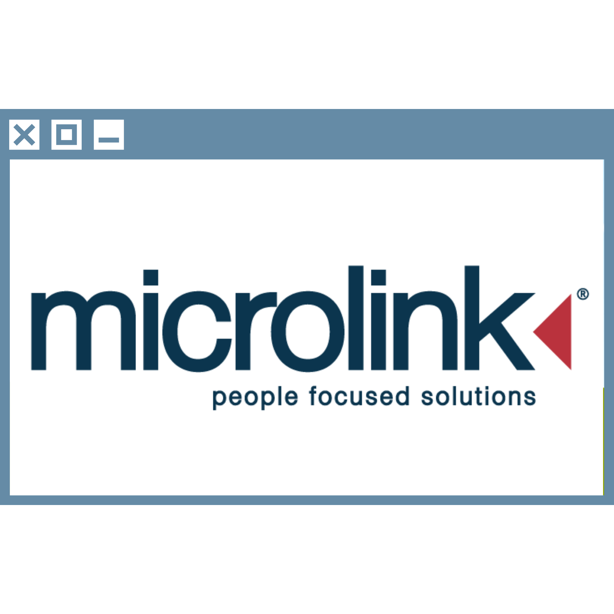 Microlink logo on monitor window
